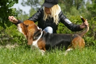 Jaljekutt Theodor-Tahoe