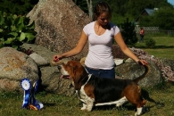 Jaljekutt Theodor-Tahoe