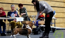 Popibass Penny Pently