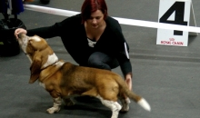 Popibass Pruutus Picasso_1