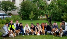 Popibass, Theodor, Evangelista